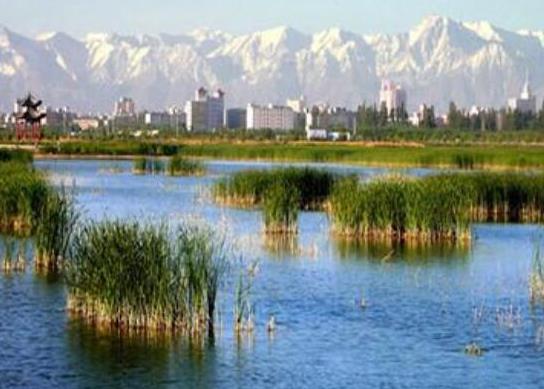 中國十大蔬菜種植基地,壽光是中國蔬菜之鄉、張北縣年產量高