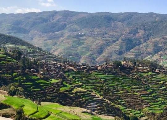 中國十大蔬菜種植基地,壽光是中國蔬菜之鄉、張北縣年產量高