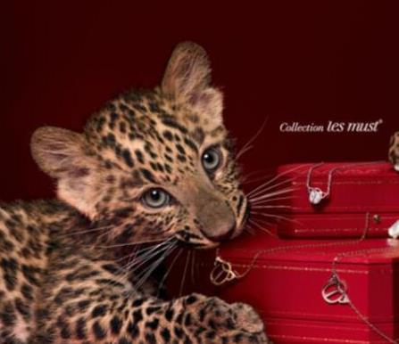 十大鉆石品牌排行榜,戴比爾斯的設(shè)計(jì)獨(dú)一無(wú)二、蒂芙尼的產(chǎn)品很經(jīng)典