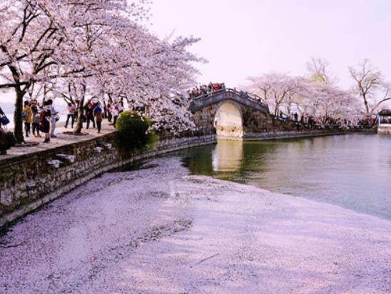 十大無錫園林排名,寄暢園是無錫唯一明代古典園林、榮氏梅園就是梅園