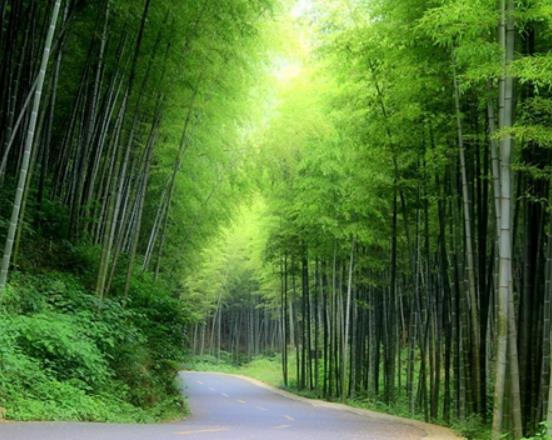 無錫十大著名景點(diǎn)排行榜,太湖吸引眾多游客、黿頭渚山水風(fēng)光美