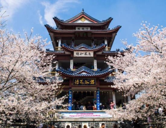 無錫十大著名景點(diǎn)排行榜,太湖吸引眾多游客、黿頭渚山水風(fēng)光美