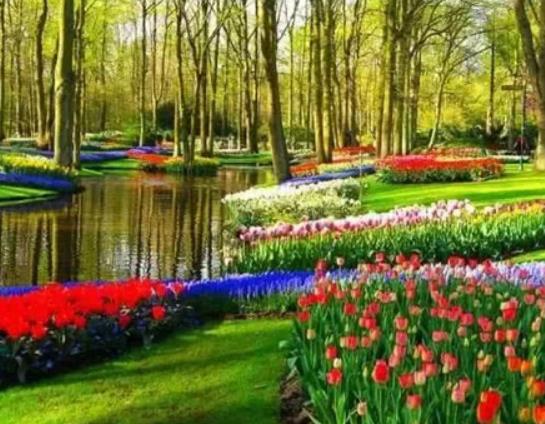 南京十大適合拍照的地方,夫子廟秦淮風光帶有意境、玄武湖十分浪漫