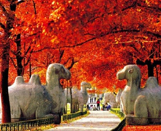 南京十大最好玩的景點,紅山森林動物園、南京科技館很受游客歡迎