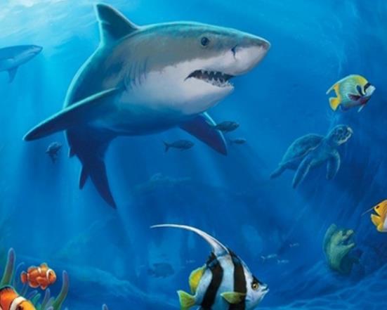 南京十大最好玩的景點,紅山森林動物園、南京科技館很受游客歡迎