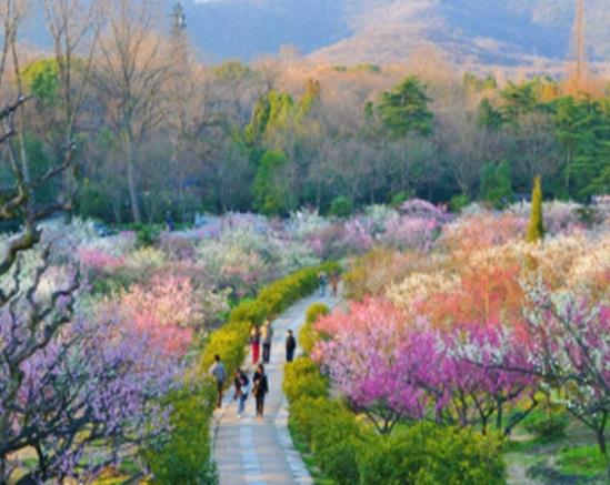 南京十大適合拍照的地方,夫子廟秦淮風光帶有意境、玄武湖十分浪漫