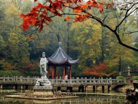 南京十大最好玩的景點,紅山森林動物園、南京科技館很受游客歡迎