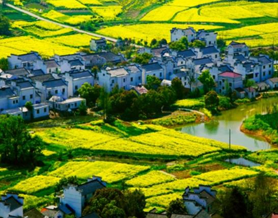 南京十大最好玩的景點,紅山森林動物園、南京科技館很受游客歡迎