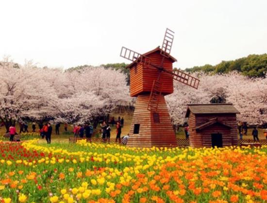 蘇州十大適合賞雨景點排名,沐春園、蘇州石路美食街知名度很高
