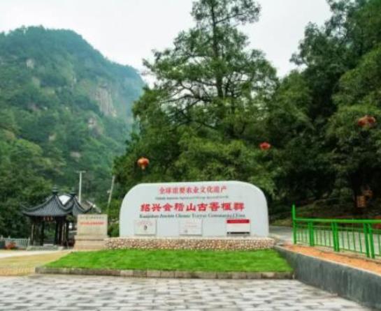 中國十大最美森林排行榜,輪臺縣塔里木胡楊林公園崇高又圣潔