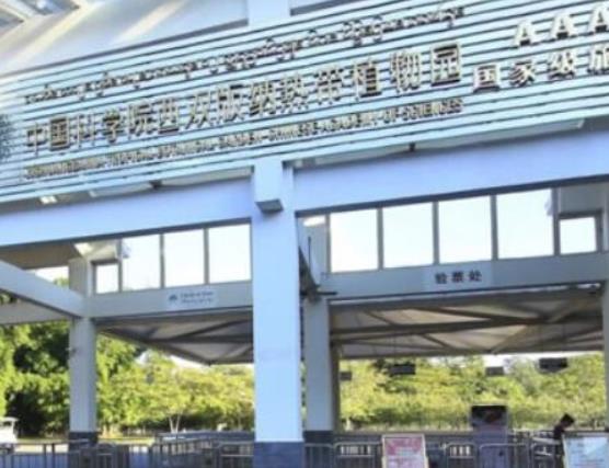 中國十大最美森林排行榜,輪臺縣塔里木胡楊林公園崇高又圣潔