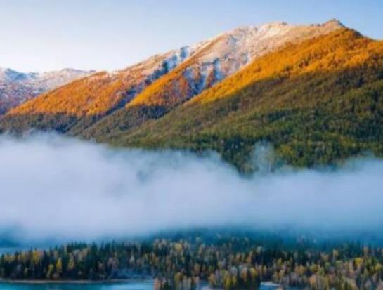 中國十大最美森林排行榜,輪臺縣塔里木胡楊林公園崇高又圣潔