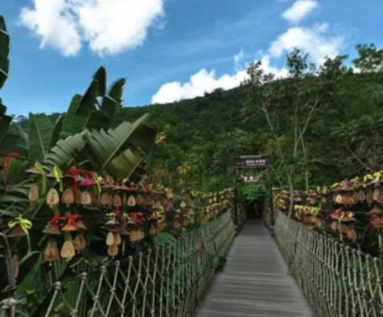 中國十大最美森林排行榜,輪臺縣塔里木胡楊林公園崇高又圣潔