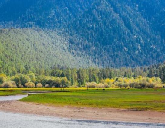 中國十大最美森林排行榜,輪臺縣塔里木胡楊林公園崇高又圣潔