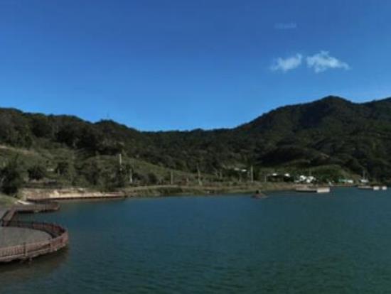 中國十大最美森林排行榜,輪臺縣塔里木胡楊林公園崇高又圣潔