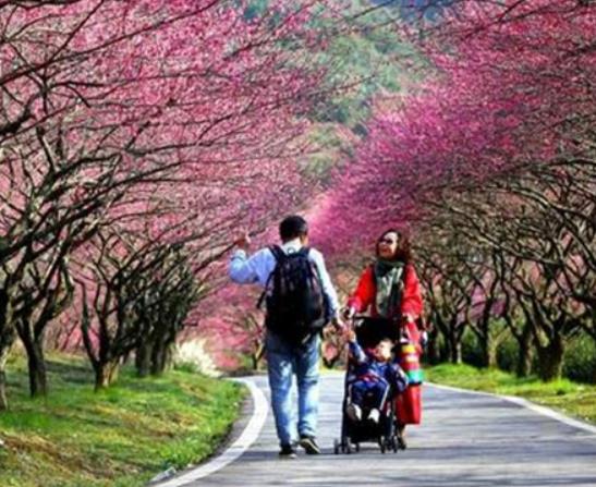 湖州市十大賞花景點排行榜,安吉中南百草園、長興城山溝景區歷史悠久