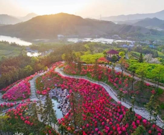 湖州市十大賞花景點排行榜,安吉中南百草園、長興城山溝景區歷史悠久