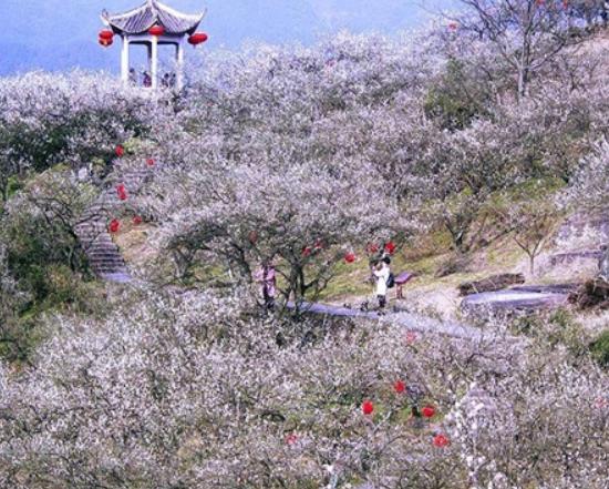 湖州市十大賞花景點排行榜,安吉中南百草園、長興城山溝景區歷史悠久
