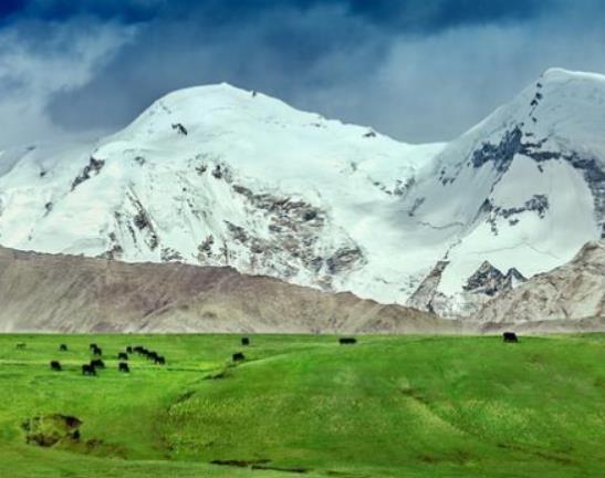 中國十大最美草原排行榜,伊犁草原、呼倫貝爾草原四季風光景色宜人