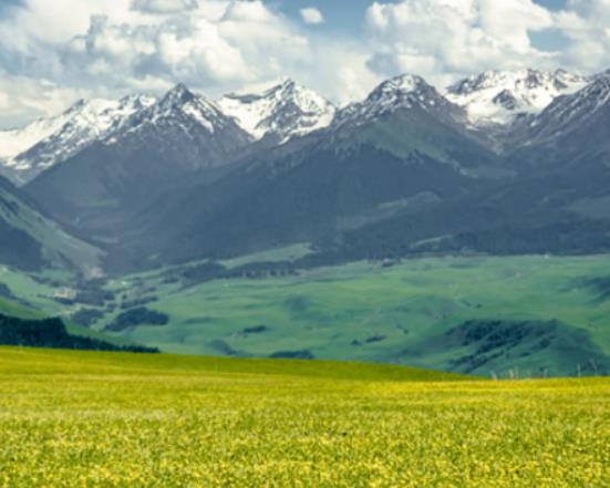 中國十大最美草原排行榜,伊犁草原、呼倫貝爾草原四季風光景色宜人