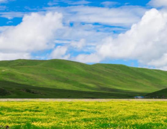 中國十大最美草原排行榜,伊犁草原、呼倫貝爾草原四季風光景色宜人