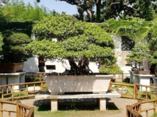 中國十大著名世界文化遺產,萬里長城、明清故宮都是世界文化遺產