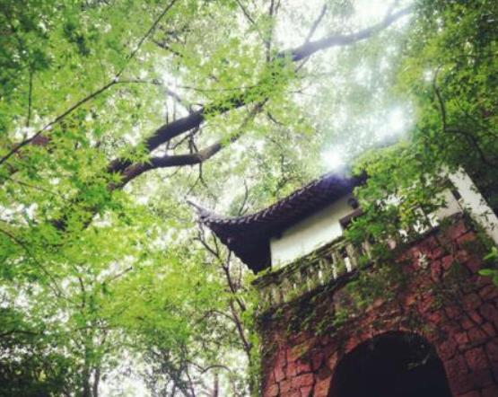 《盜墓筆記》相關的十大旅游景點,西泠印社、曉風書屋都很受歡迎