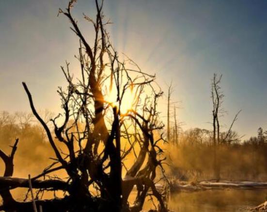 《盜墓筆記》相關的十大旅游景點,西泠印社、曉風書屋都很受歡迎