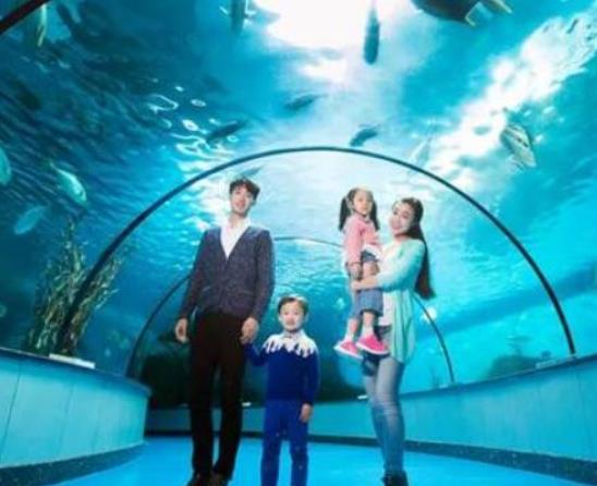 福州十大網紅打卡地,三坊七巷文藝氣息濃厚、鼓嶺旅游度假區各具特色