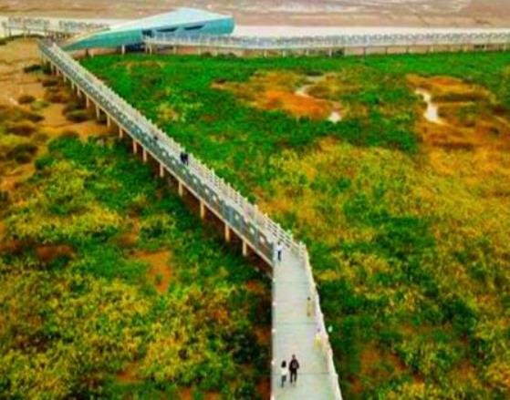 福州十大網紅打卡地,三坊七巷文藝氣息濃厚、鼓嶺旅游度假區各具特色