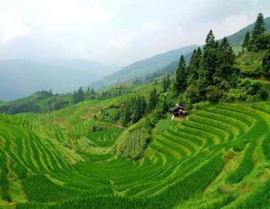 廣西旅游必去十大景點排名,桂林山水甲天下、漓江被稱為百里畫廊