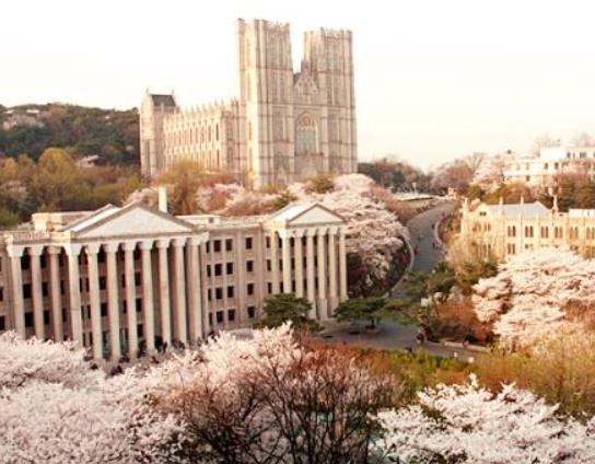 2022韓國大學QS排名,首爾國立大學、韓國科學技術研究所得到業界廣泛認可