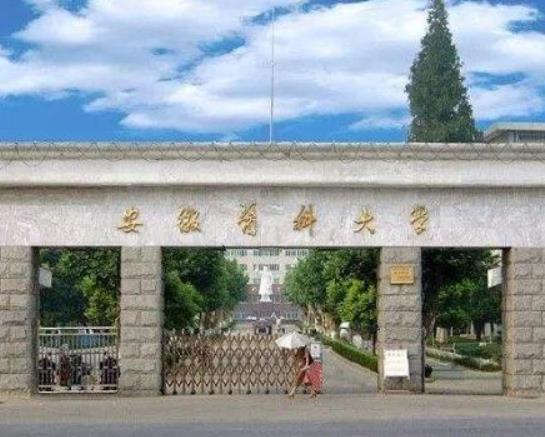 安徽最好的十所大學排名,中國科學技術(shù)大學、合肥工業(yè)大學教學質(zhì)量優(yōu)異