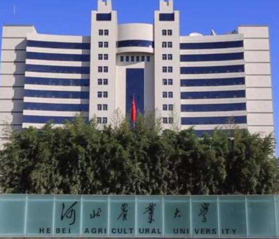 河北十大名牌大學(xué),燕山大學(xué)屬于全國(guó)一流大學(xué)、河北大學(xué)師資力量雄厚