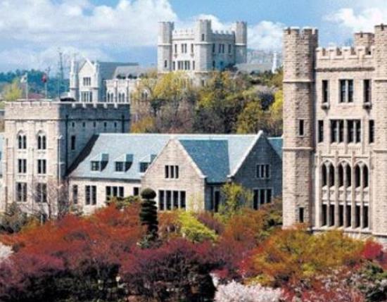 韓國排名前十的大學,首爾國立大學、韓國科學技術院科研實力雄厚