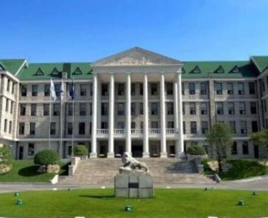 韓國排名前十的大學,首爾國立大學、韓國科學技術院科研實力雄厚