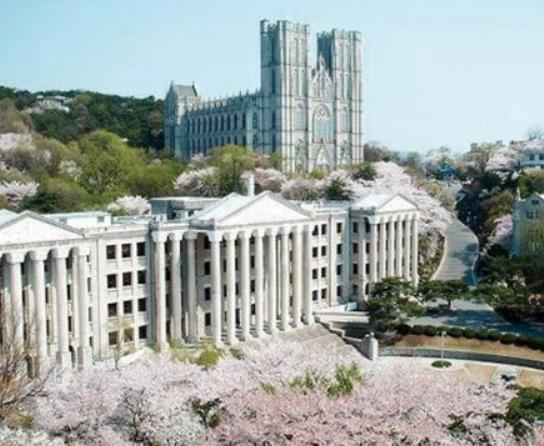韓國排名前十的大學,首爾國立大學、韓國科學技術院科研實力雄厚