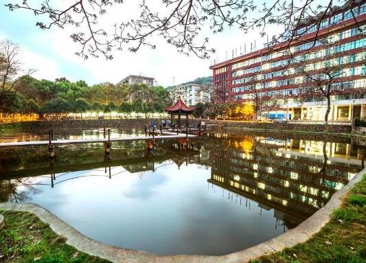 武漢十大最美大學排行榜,武漢大學校園享譽、華中農業大學環境幽雅