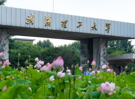 武漢十大最美大學排行榜,武漢大學校園享譽、華中農業大學環境幽雅