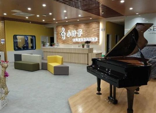 十大鋼琴培訓(xùn)機(jī)構(gòu)排名,雅馬哈音樂(lè)中心、珠江鋼琴藝術(shù)教室有足夠的實(shí)力