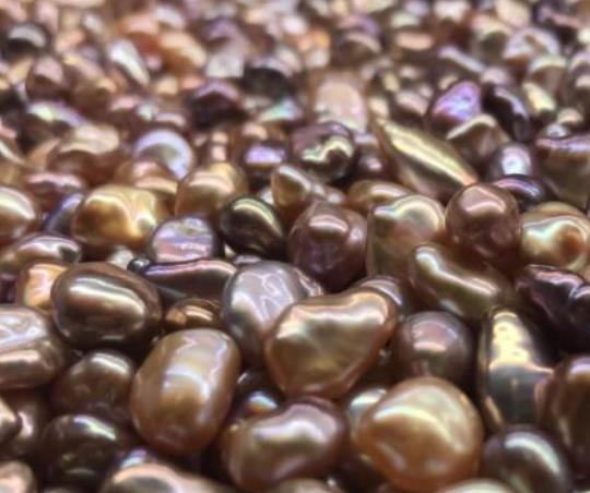 世界上十大最著名的珍珠,老子之珠也叫真主之珠、亞洲之珠是無價之寶