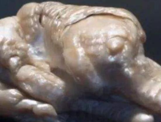 世界上十大最著名的珍珠,老子之珠也叫真主之珠、亞洲之珠是無價之寶