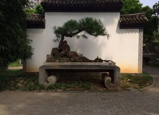 溫州十大公園排行榜,江心嶼公園風景如畫、馬鞍山公園綠化面積大