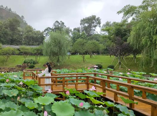 溫州十大公園排行榜,江心嶼公園風景如畫、馬鞍山公園綠化面積大