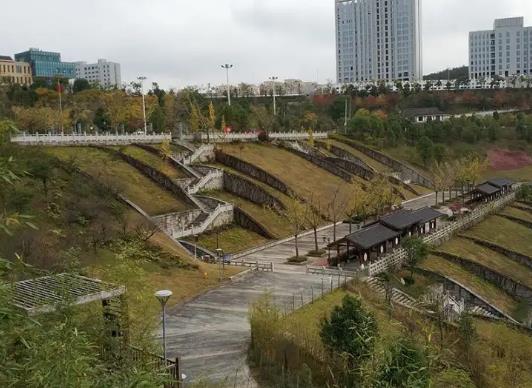 溫州十大公園排行榜,江心嶼公園風景如畫、馬鞍山公園綠化面積大