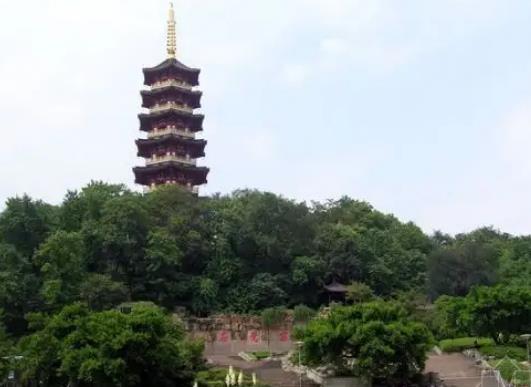 溫州十大公園排行榜,江心嶼公園風景如畫、馬鞍山公園綠化面積大