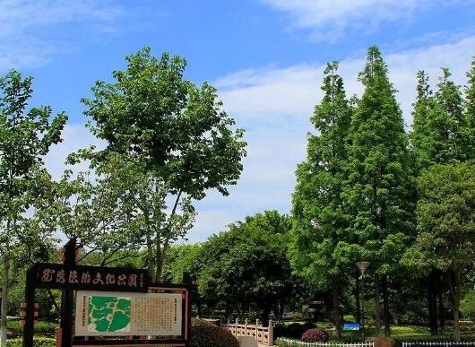 溫州十大公園排行榜,江心嶼公園風景如畫、馬鞍山公園綠化面積大
