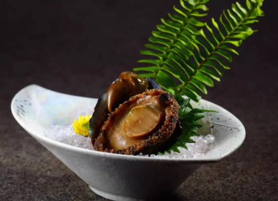 世界上最貴的鮑魚排名,日本網鮑品質較好、吉品鮑體型小巧