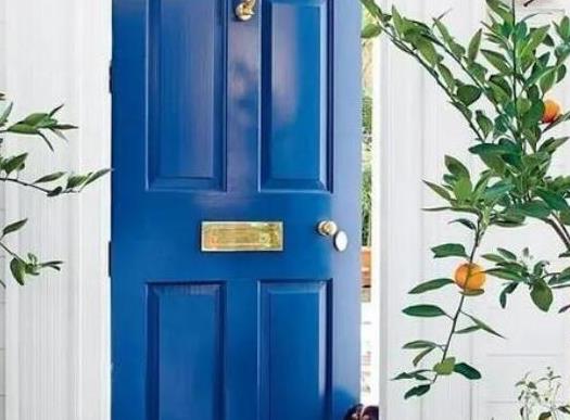 中國十大吉祥樹排名,銀杏被譽為長壽樹木、梧桐觀賞價值很高