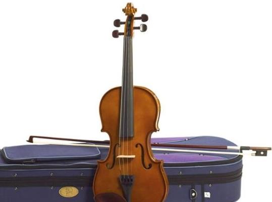 十大十大小提琴品牌排名,紅棉樂器影響力高、鳳靈小提琴售后服務好